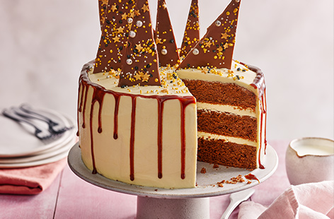 If you're looking to make a real showstopper of a dessert, this salted caramel chocolate cake is the one for you