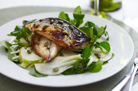 A great starter or light main course, grilled mackerel fillets are served on a bed of watercress and lightly dressed sliced fennel and pear. Finish with a sprinkle of pumpkin seeds for an extra omega garnish.